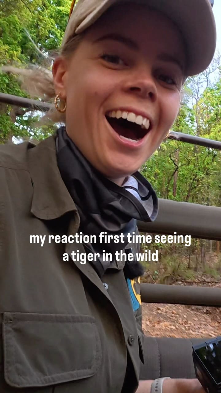 Post 3 by Karolina Norée on Instagram (video)