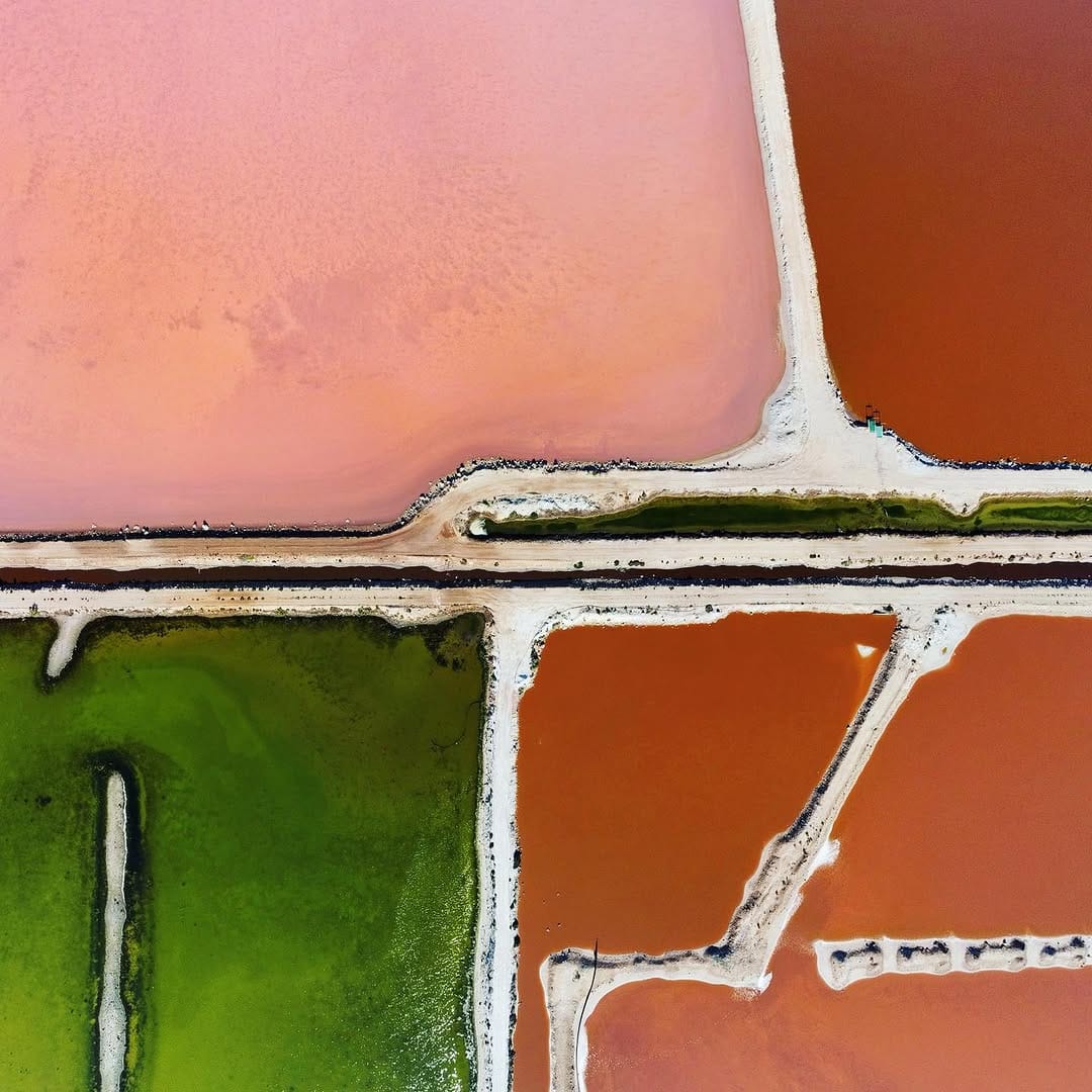 Post 9 by Mike Polo on Instagram (image)