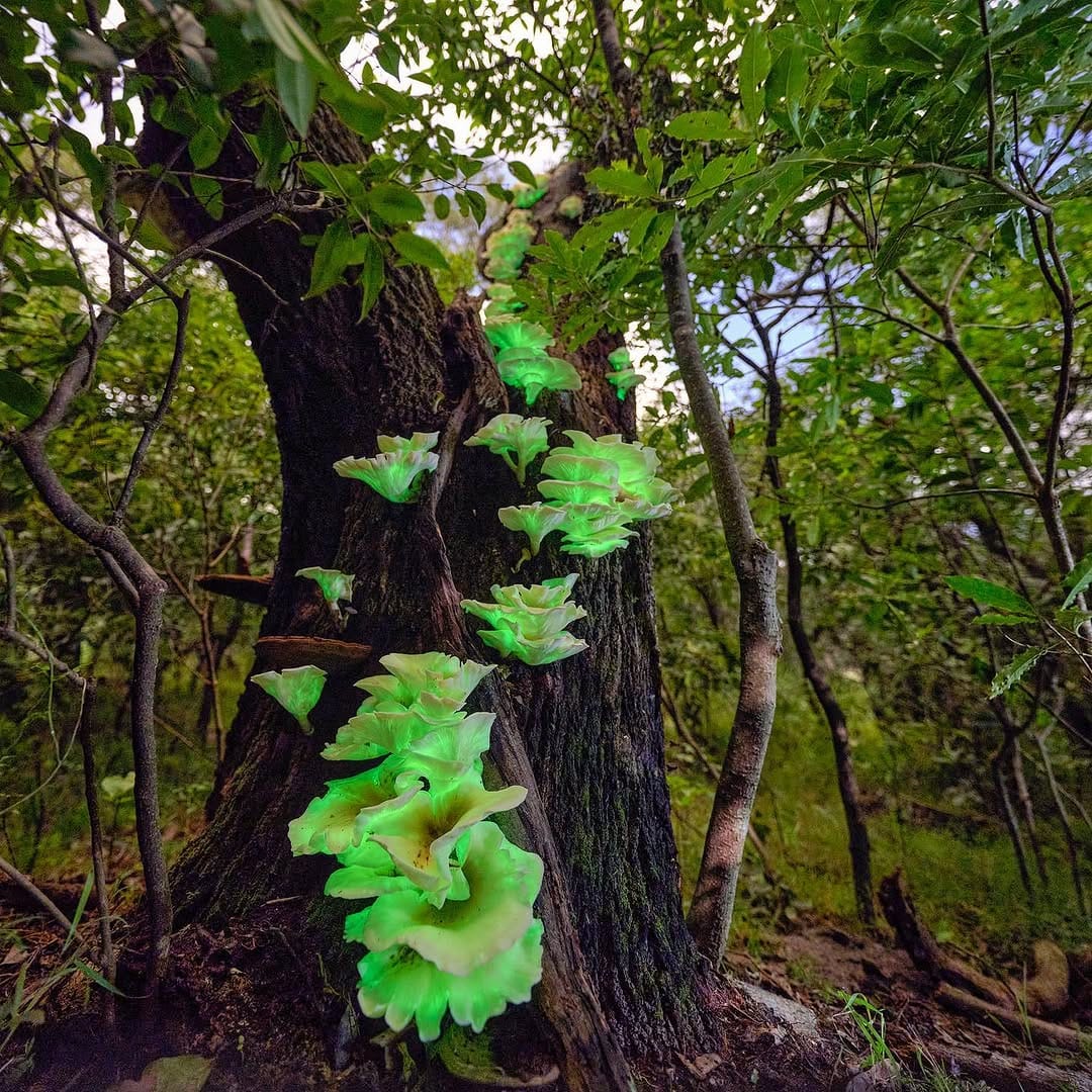 Post 5 by Mike Polo on Instagram (image)