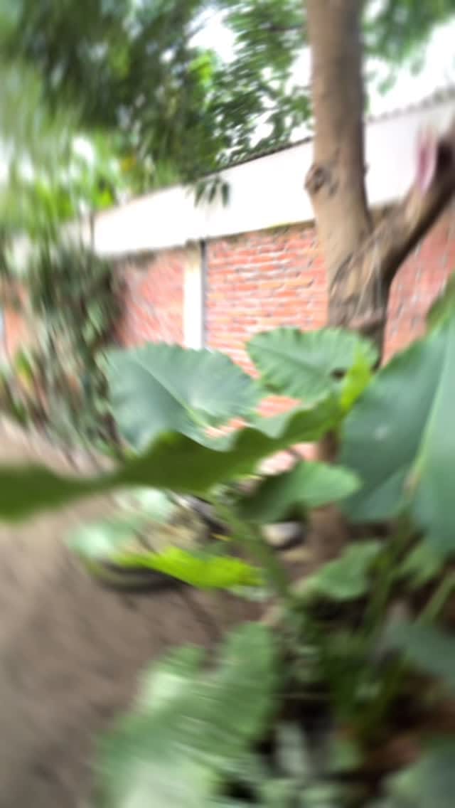 Post 3 by DeryLisna on Instagram (video)