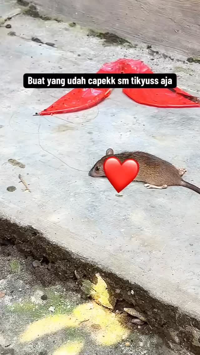 Post 7 by DeryLisna on Instagram (video)