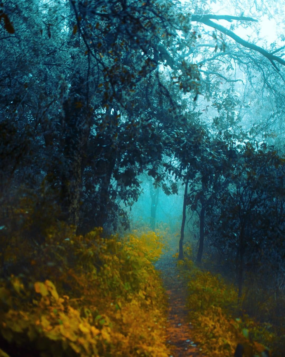 Post 8 by Patricio javier chavez mackay on Instagram (image)