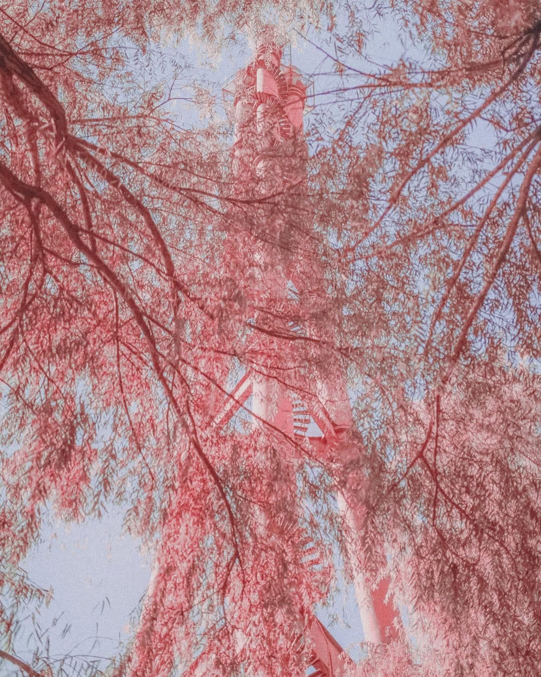 Post 3 by Patricio javier chavez mackay on Instagram (image)