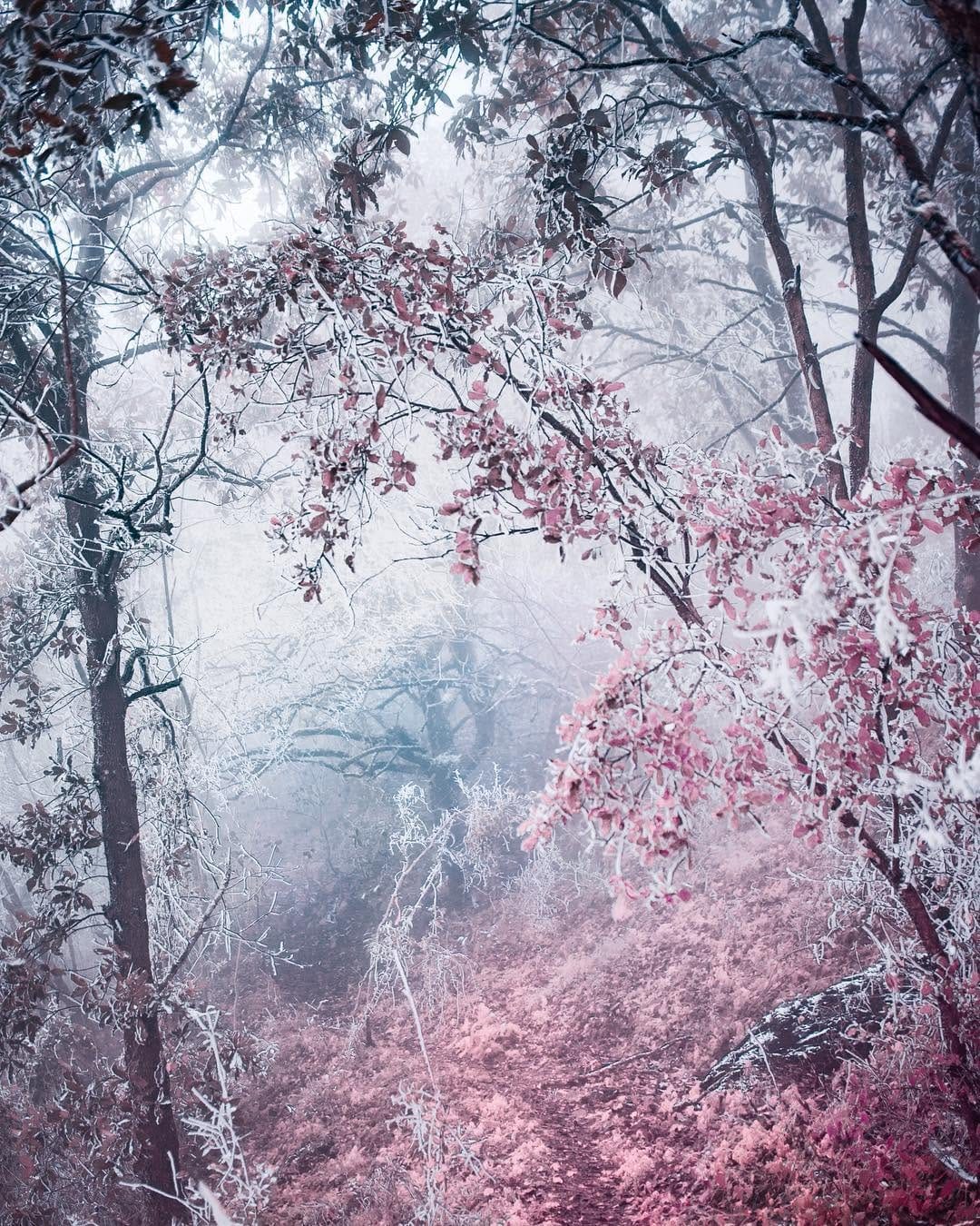 Post 10 by Patricio javier chavez mackay on Instagram (image)