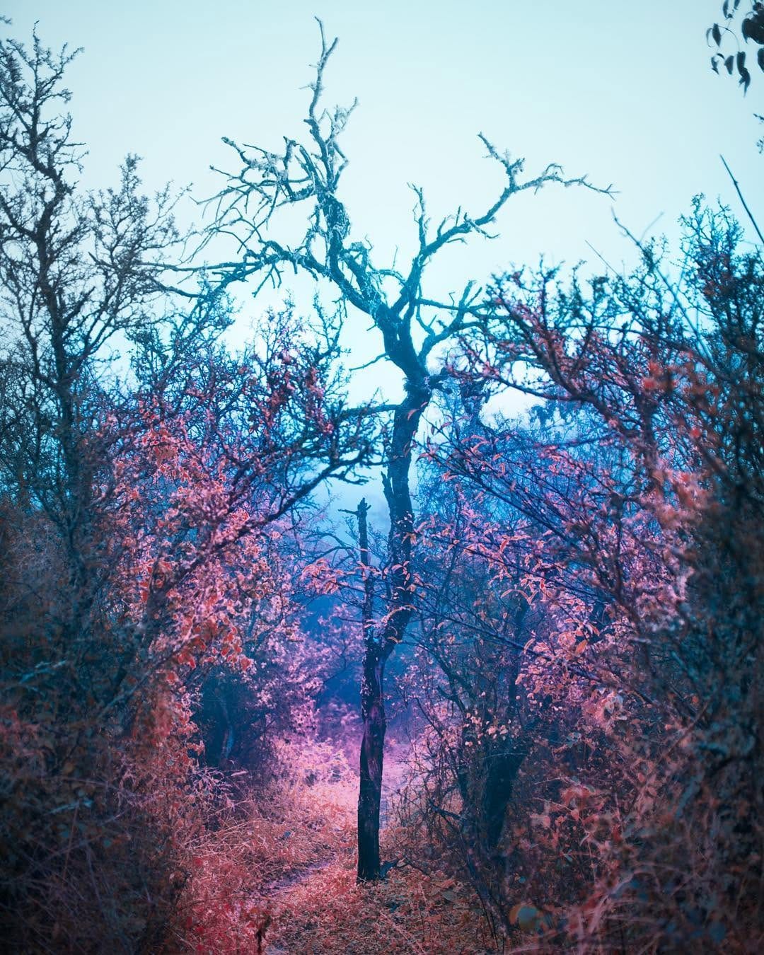 Post 9 by Patricio javier chavez mackay on Instagram (image)