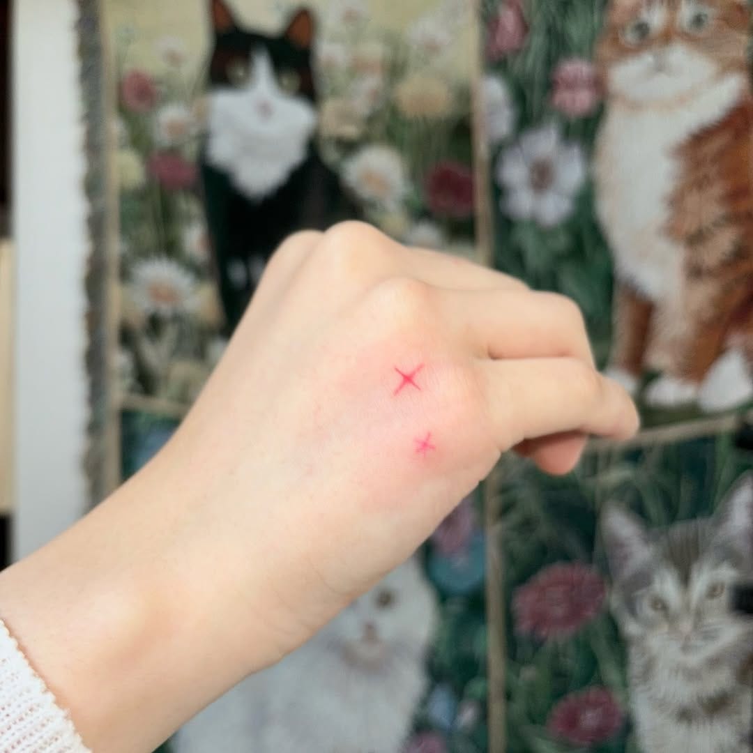 Post 6 by 소낙 ⋆︎* 핸드포크 나비타투 홍대타투 日本語できます💖 on Instagram (image)