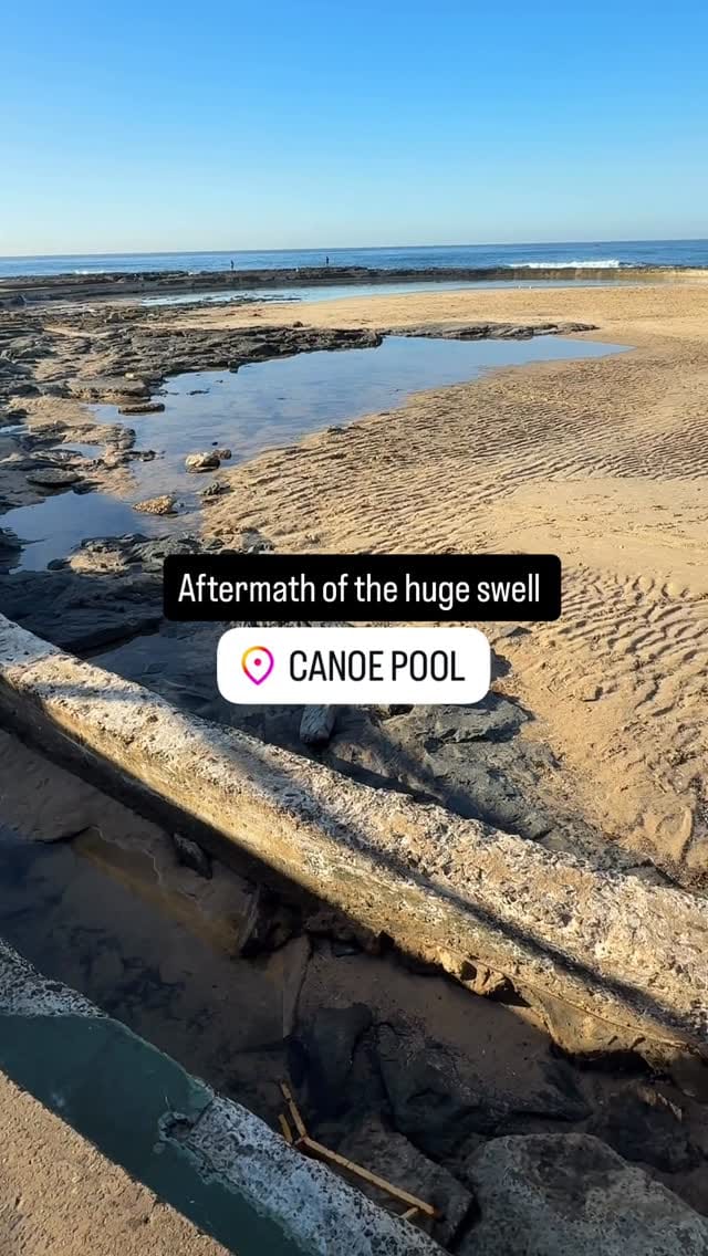 Post 6 by Shannon Hartigan Images on Instagram (video)