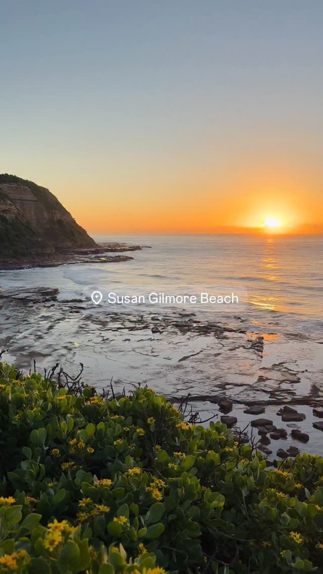 Post 7 by Shannon Hartigan Images on Instagram (video)