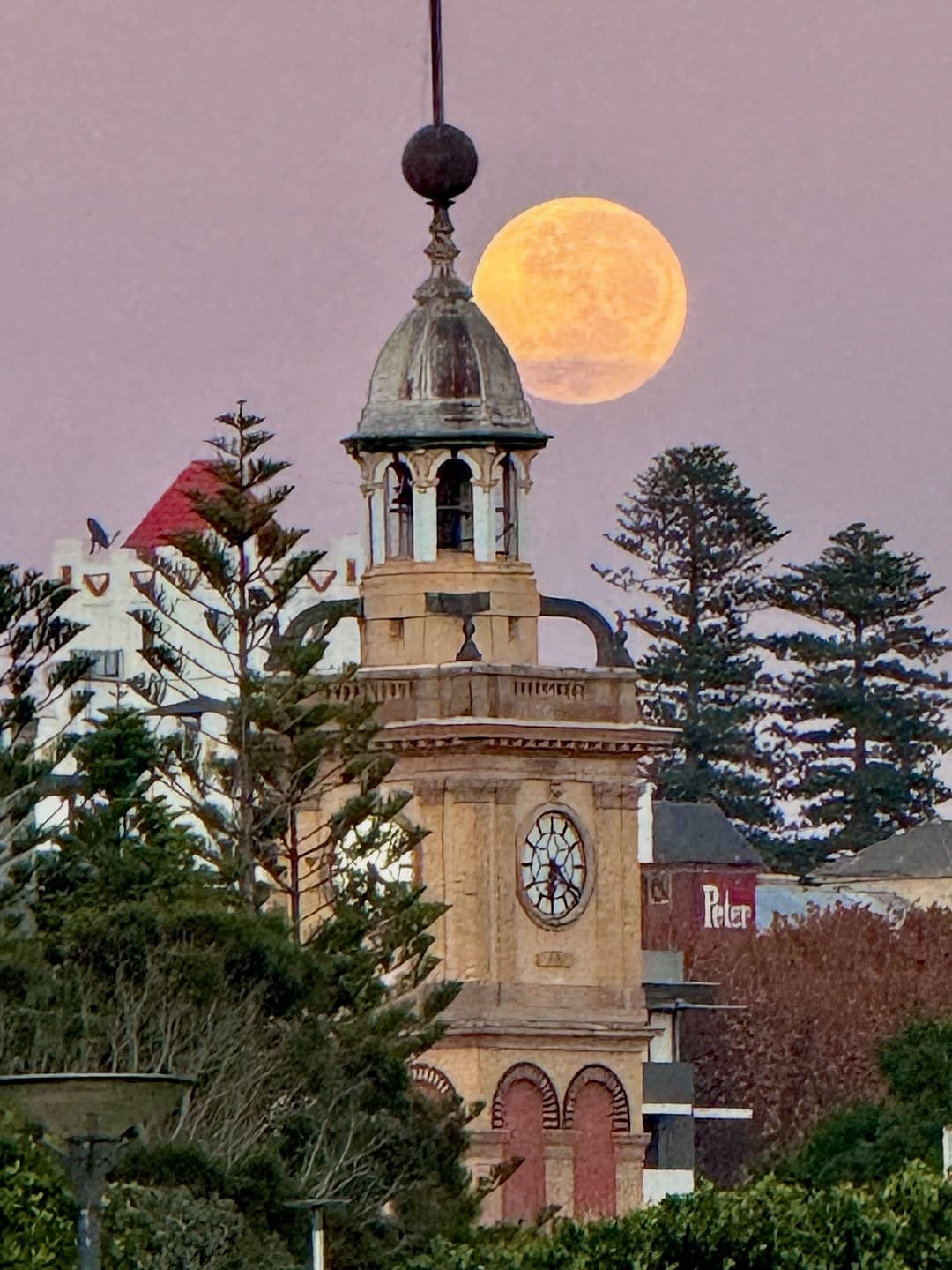 Post 3 by Shannon Hartigan Images on Instagram (image)