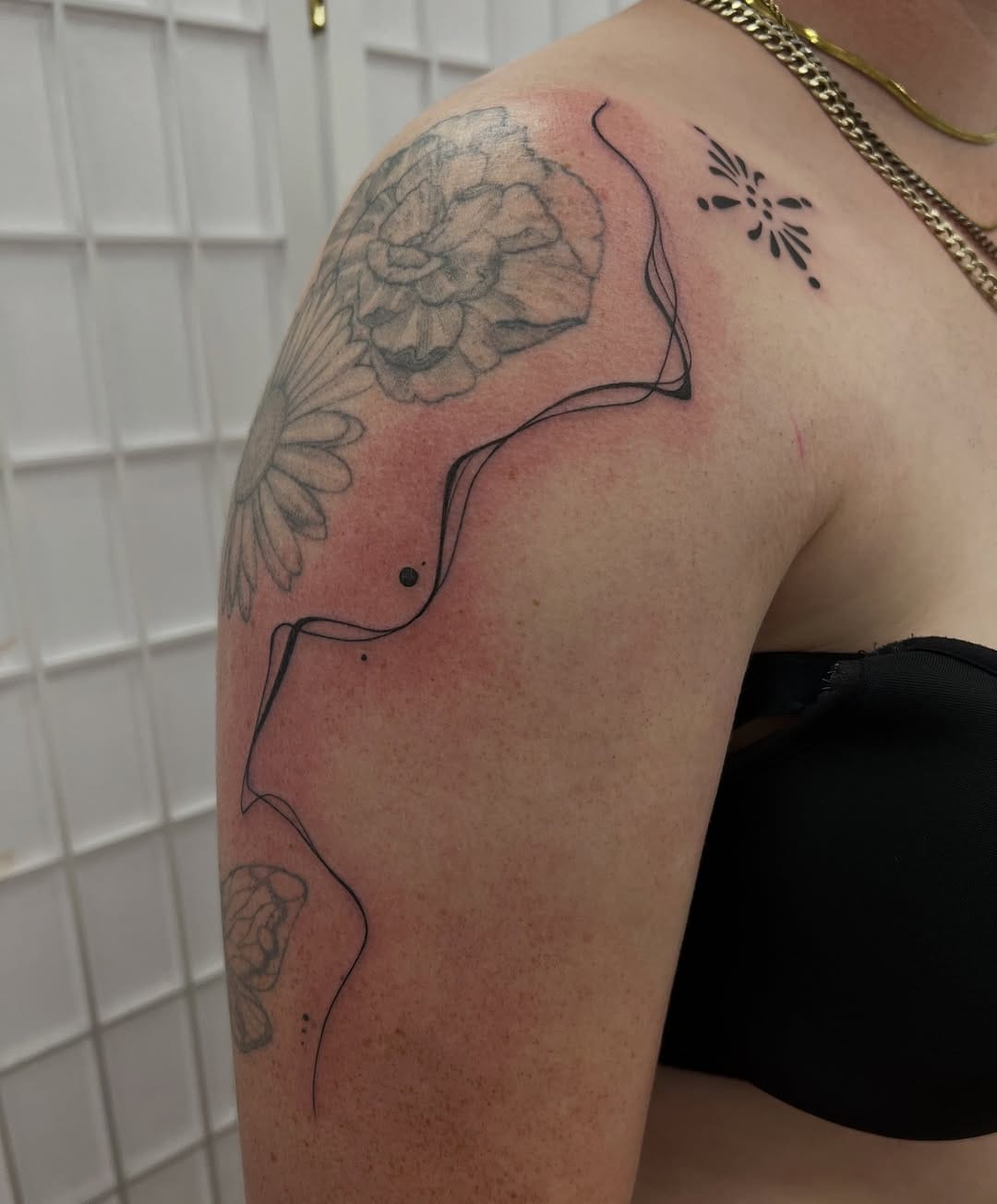 Post 8 by Paul Rapley -Fineline Tattoos on Instagram (image)
