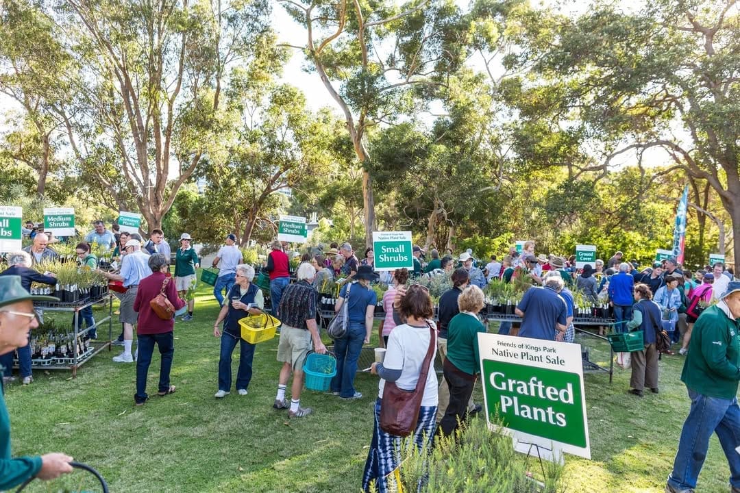 Post 2 by Kings Park and Botanic Garden on Instagram (image)