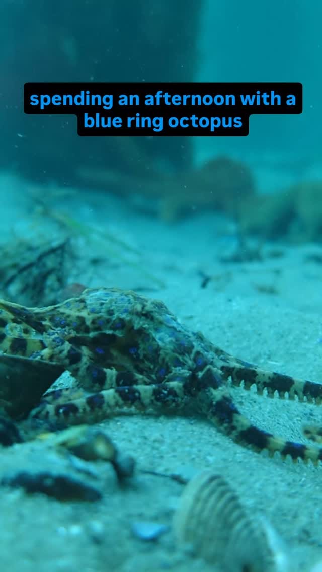 Post 1 by Daniel Sly on Instagram (video)