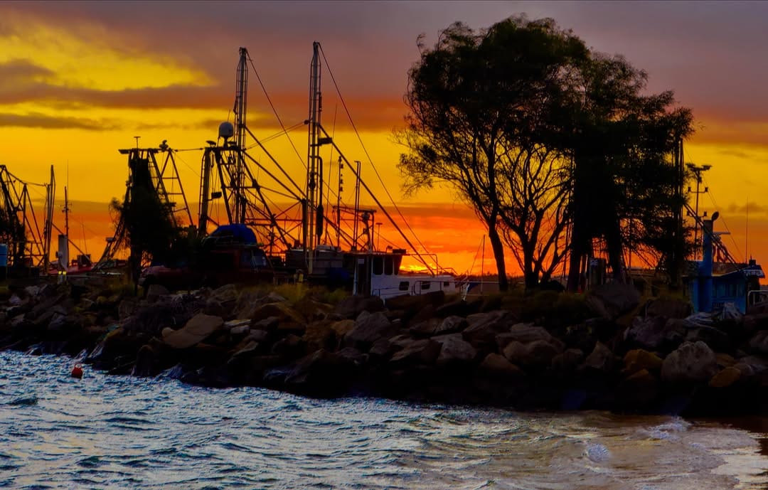 Post 6 by Kathy Brown on Instagram (image)