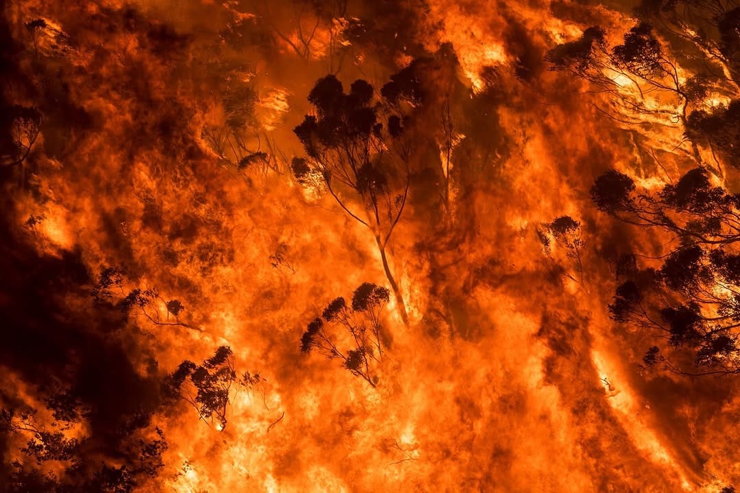 Post 2 by Nicholas Moir on Instagram (image)
