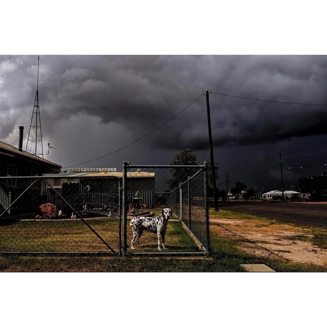 Post 1 by Nicholas Moir on Instagram (image)