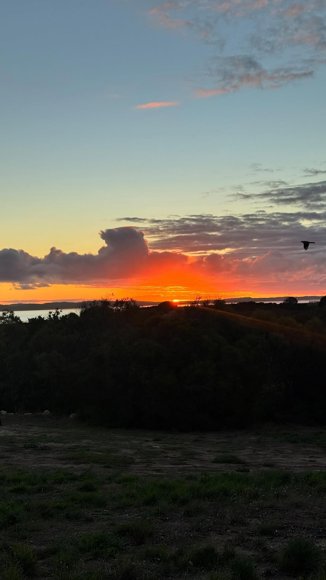 Post 2 by Billie Justice Thomson on Instagram (video)