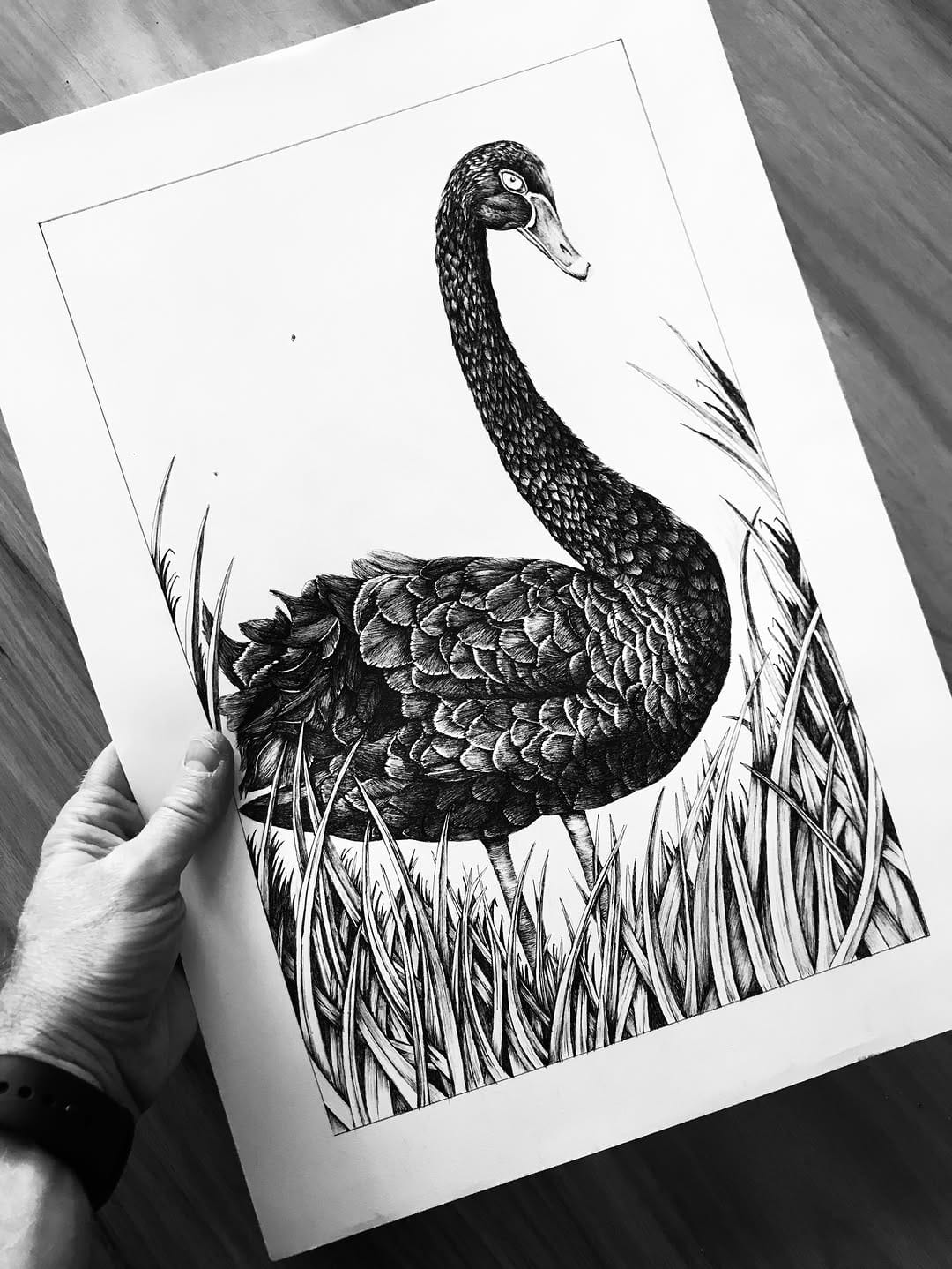 Post 2 by Pascal Wijnberg on Instagram (carousel)