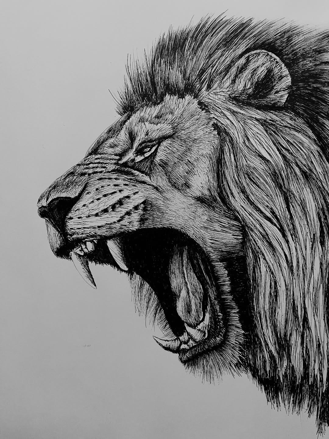 Post 9 by Pascal Wijnberg on Instagram (image)