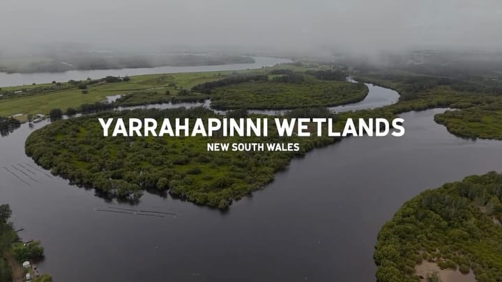 Post 1 by Nature Conservation Council on Instagram (video)