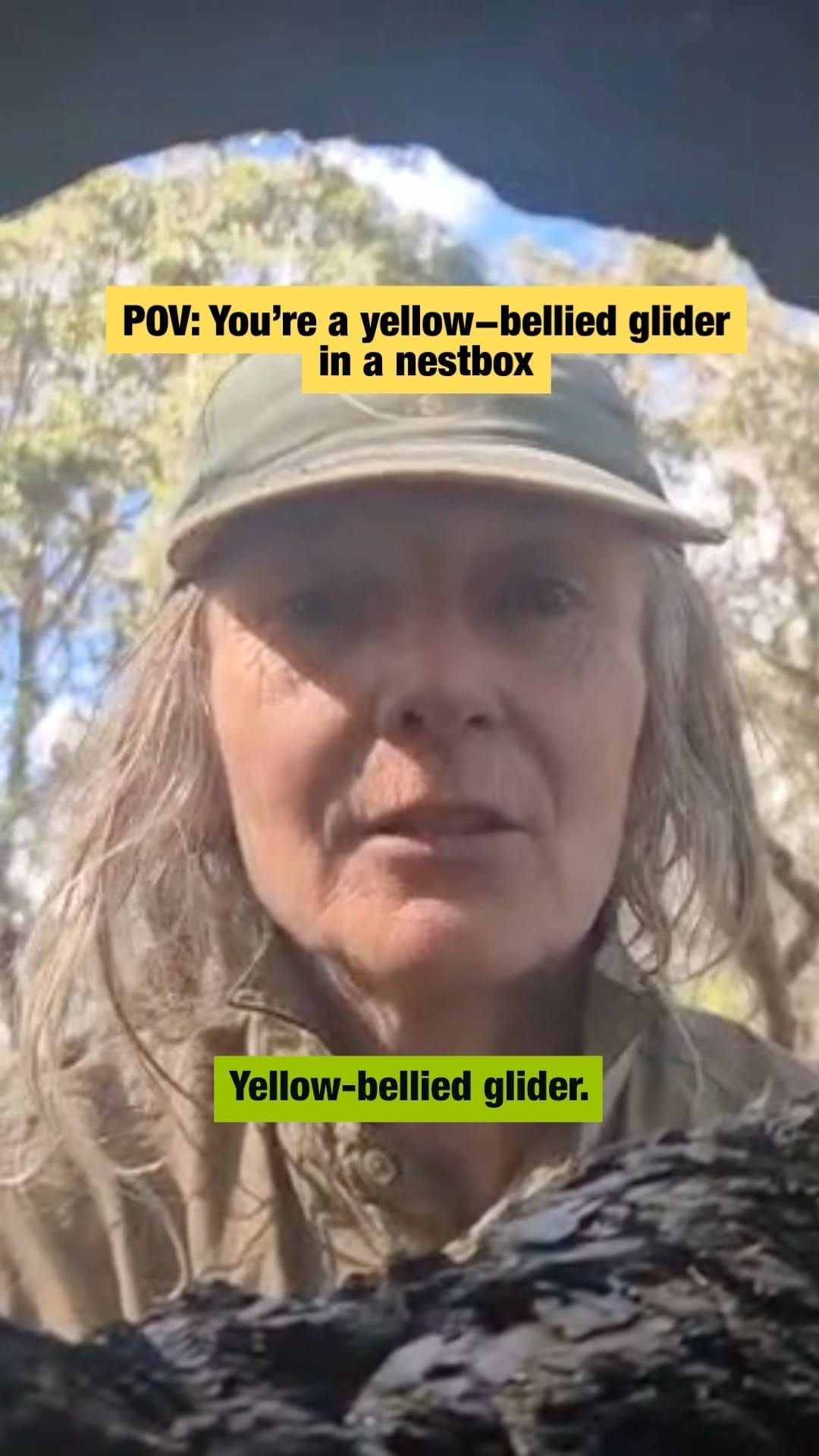Post 4 by Nature Conservation Council on Instagram (video)