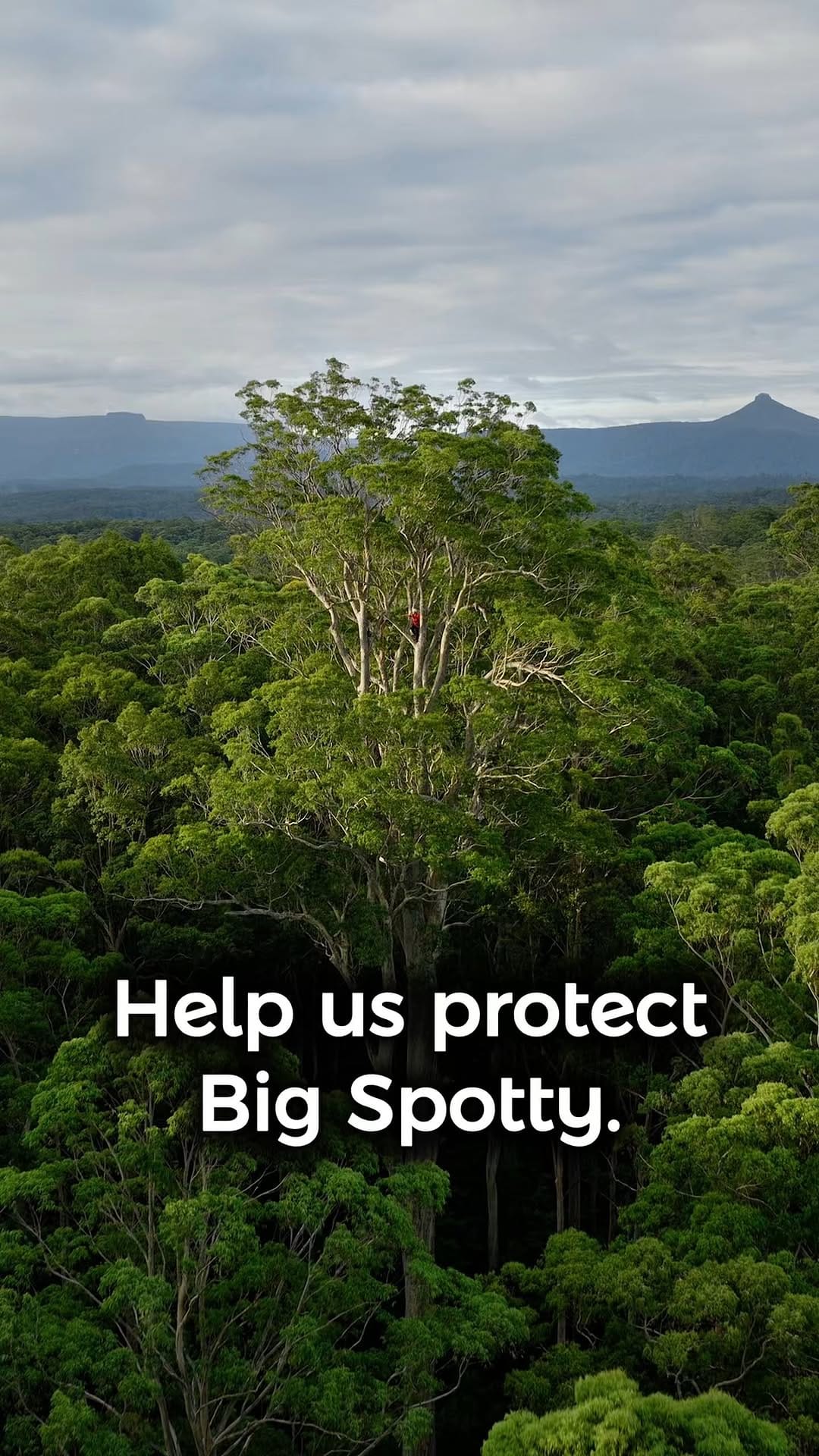 Post 10 by Nature Conservation Council on Instagram (video)