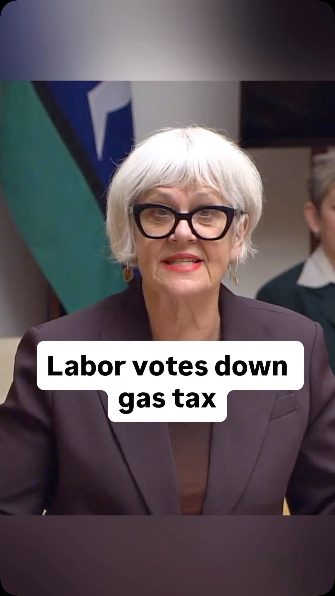 Post 7 by Queensland Greens on Instagram (video)