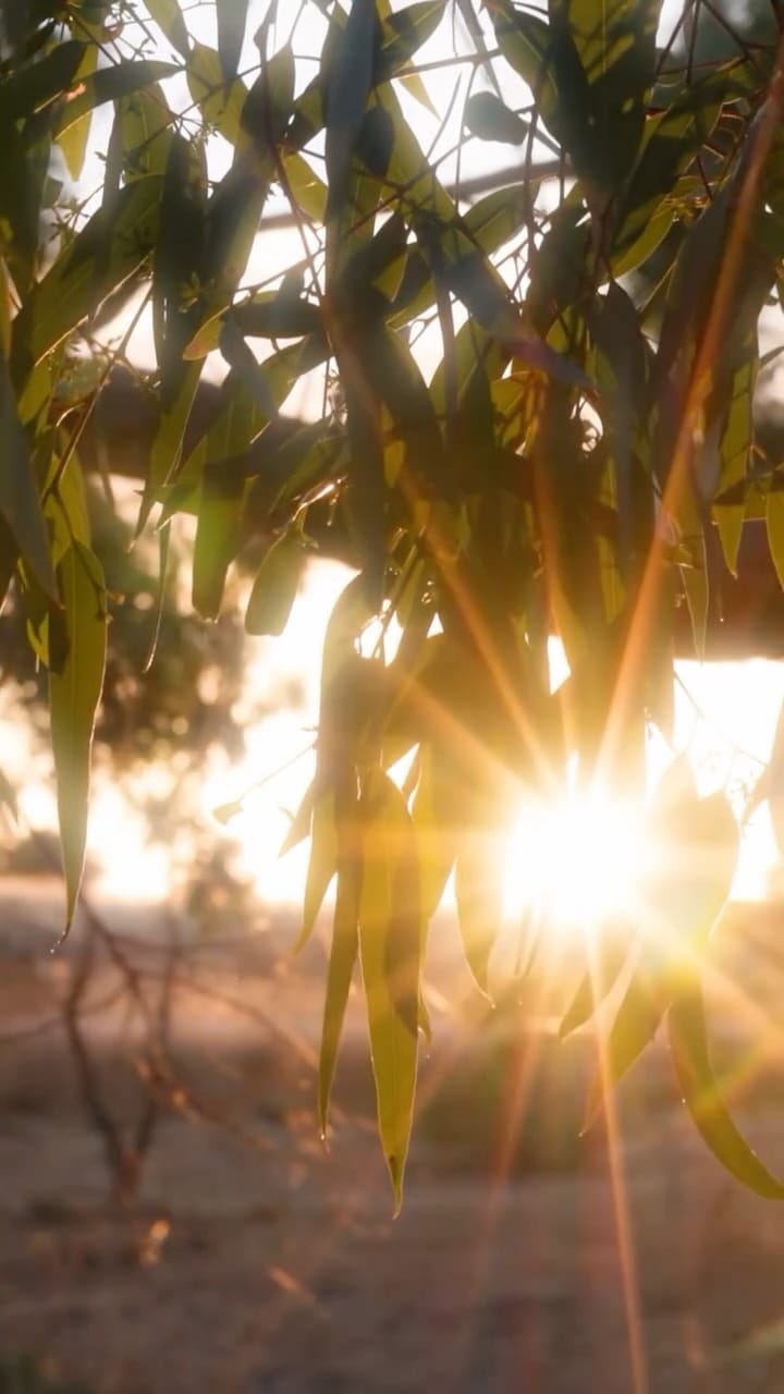 Post 9 by Chelsea Banno | Soul Alignment on Instagram (video)