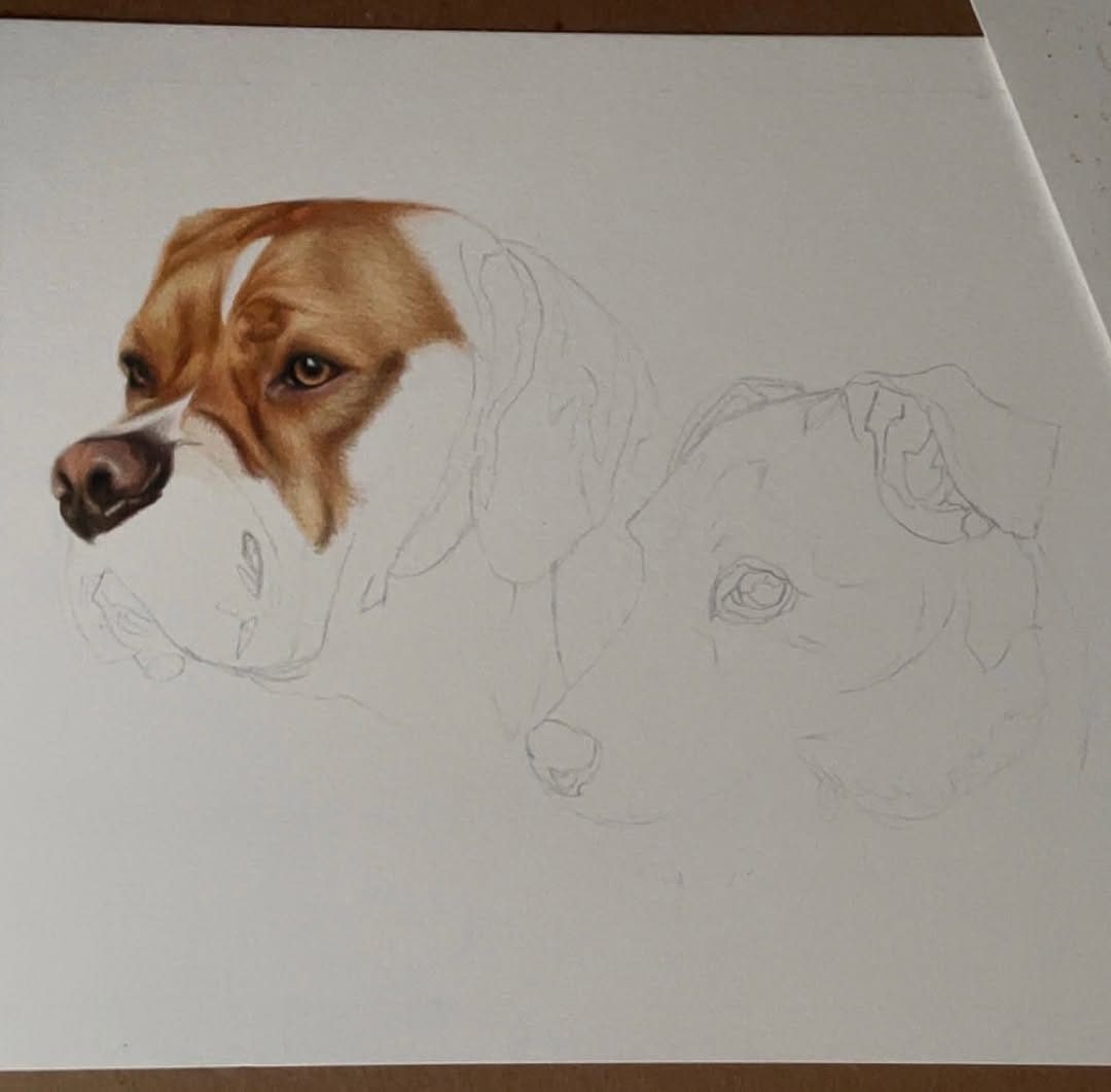 Post 2 by Jess Wells - Animal Artist on Instagram (image)