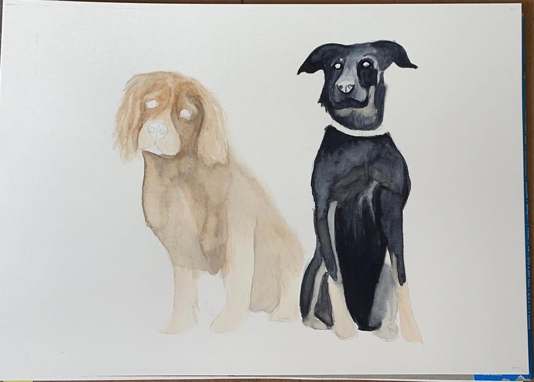 Post 7 by Jess Wells - Animal Artist on Instagram (image)