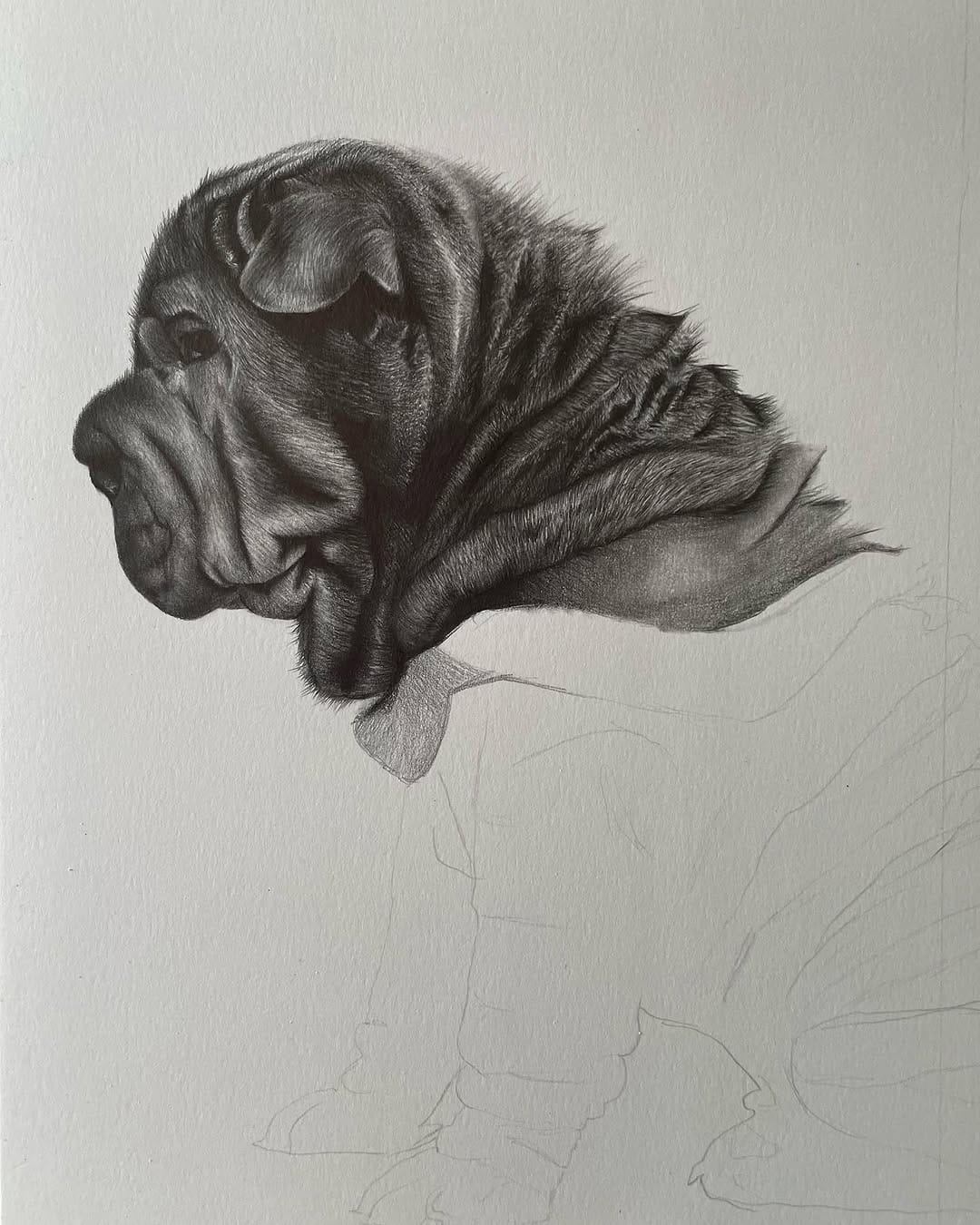 Post 8 by Jess Wells - Animal Artist on Instagram (image)