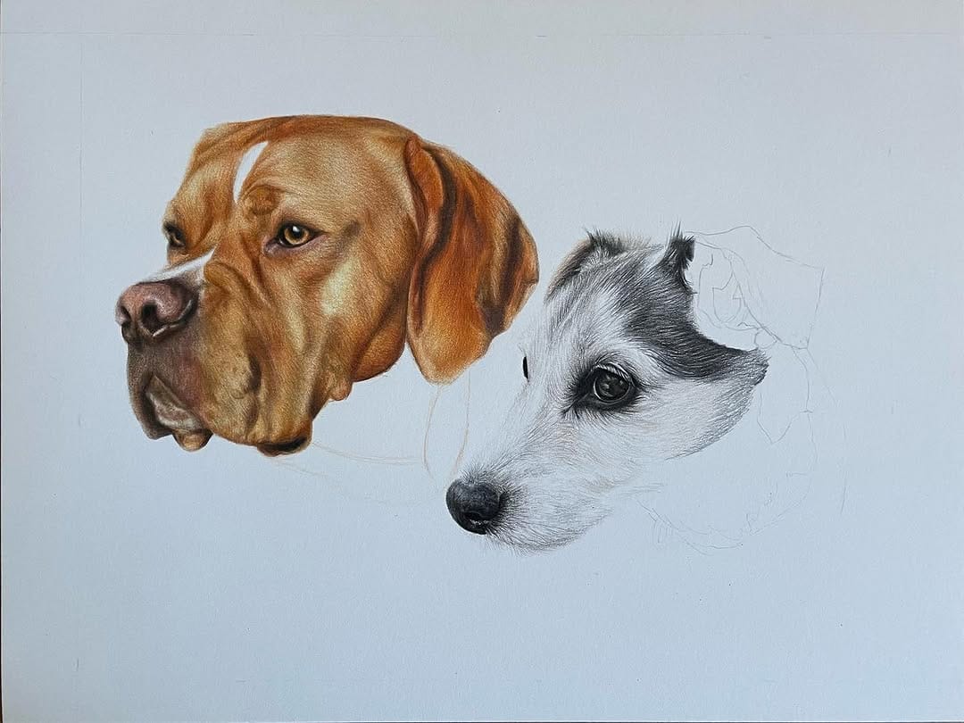 Post 1 by Jess Wells - Animal Artist on Instagram (image)