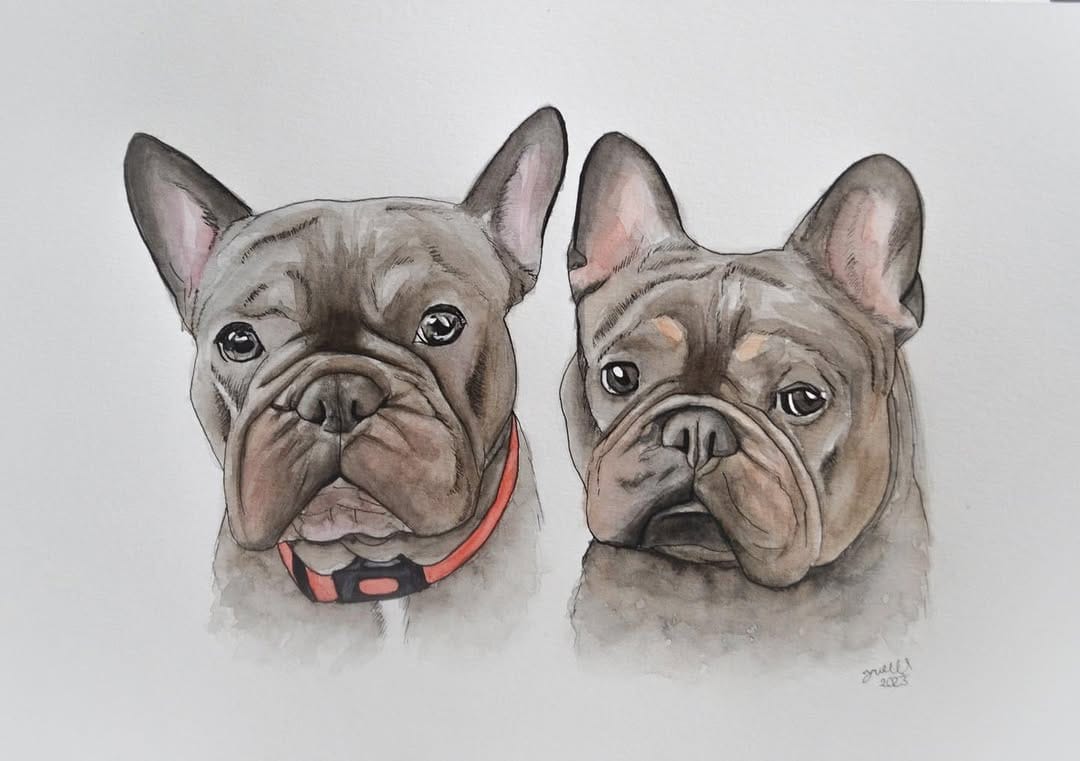 Post 3 by Jess Wells - Animal Artist on Instagram (image)