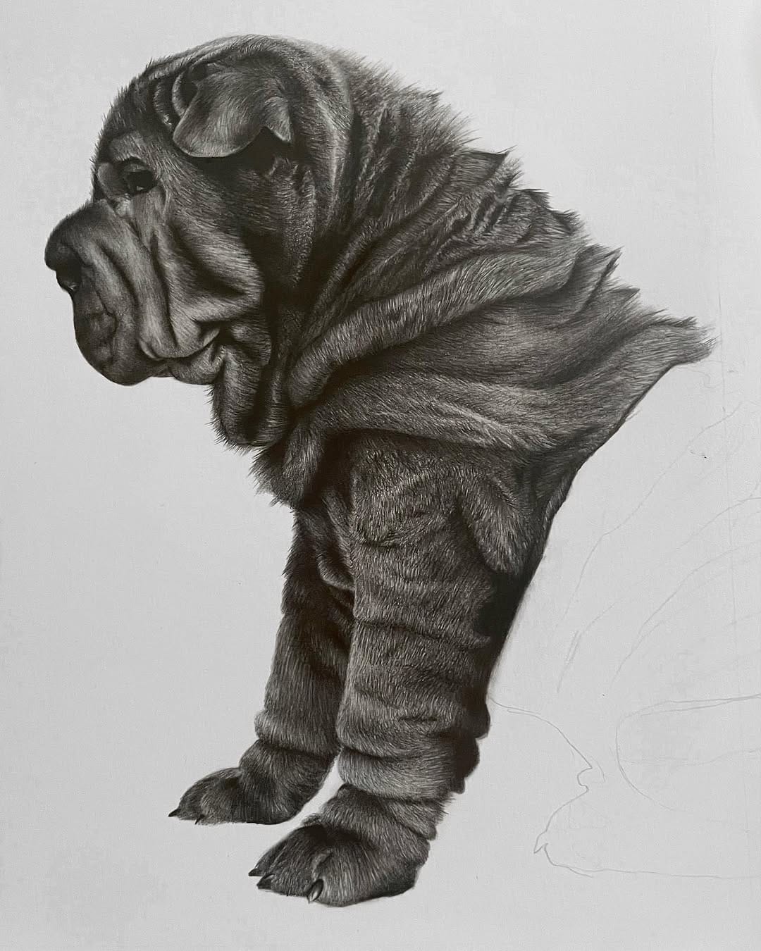 Post 5 by Jess Wells - Animal Artist on Instagram (image)