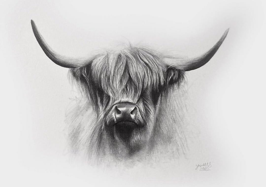Post 4 by Jess Wells - Animal Artist on Instagram (image)