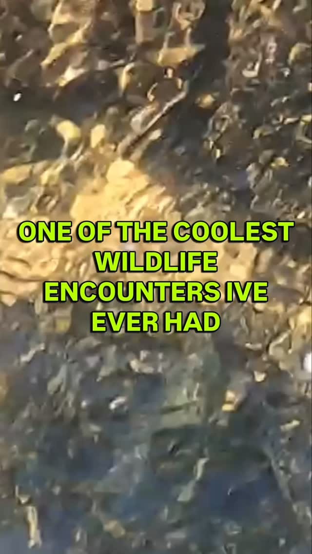 Post 3 by Mitch Spencer on Instagram (video)