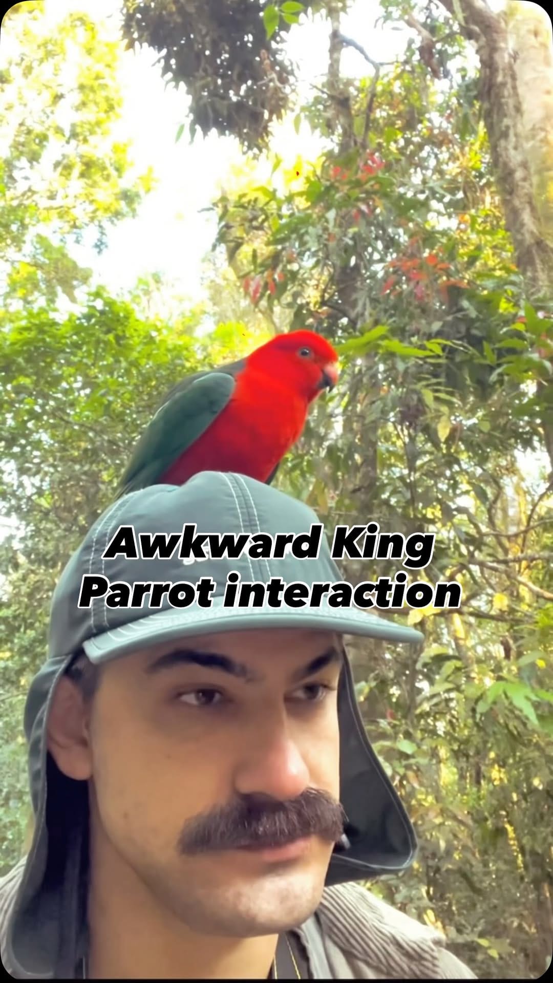 Post 4 by Mitch Spencer on Instagram (video)