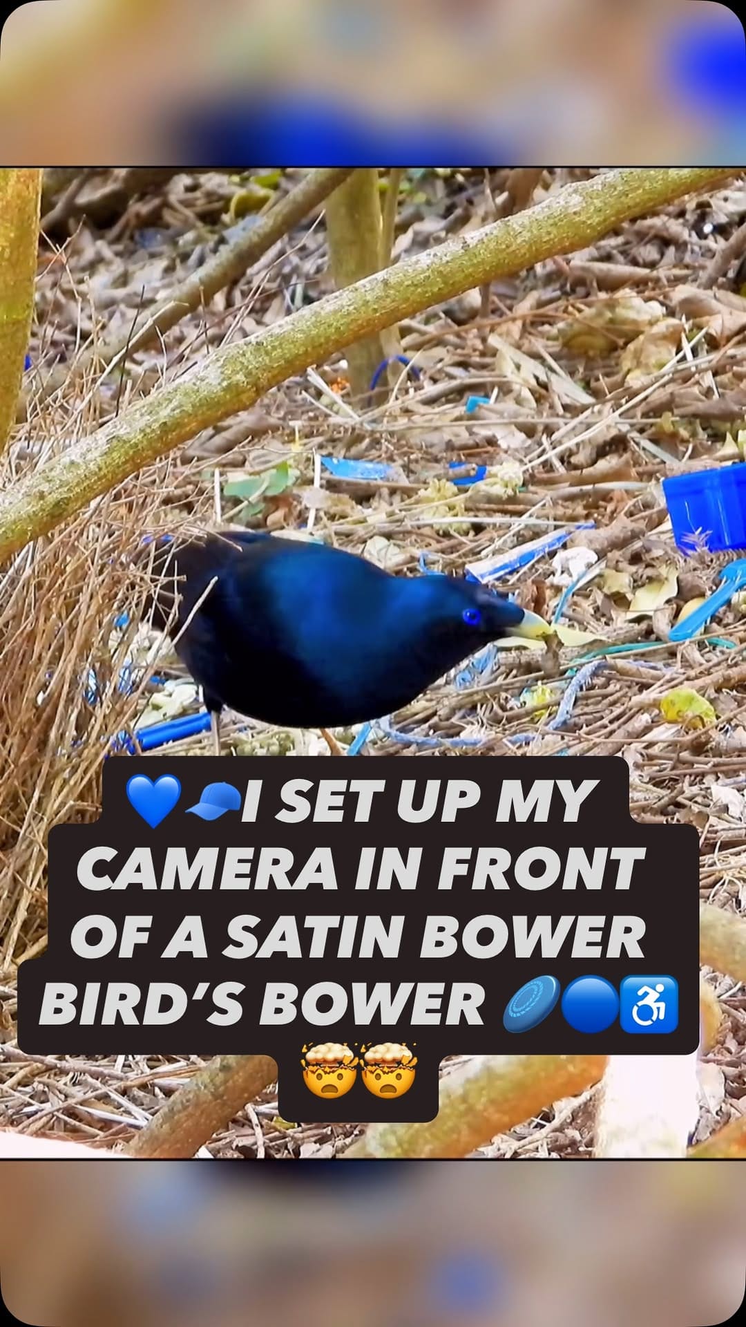 Post 2 by Mitch Spencer on Instagram (video)