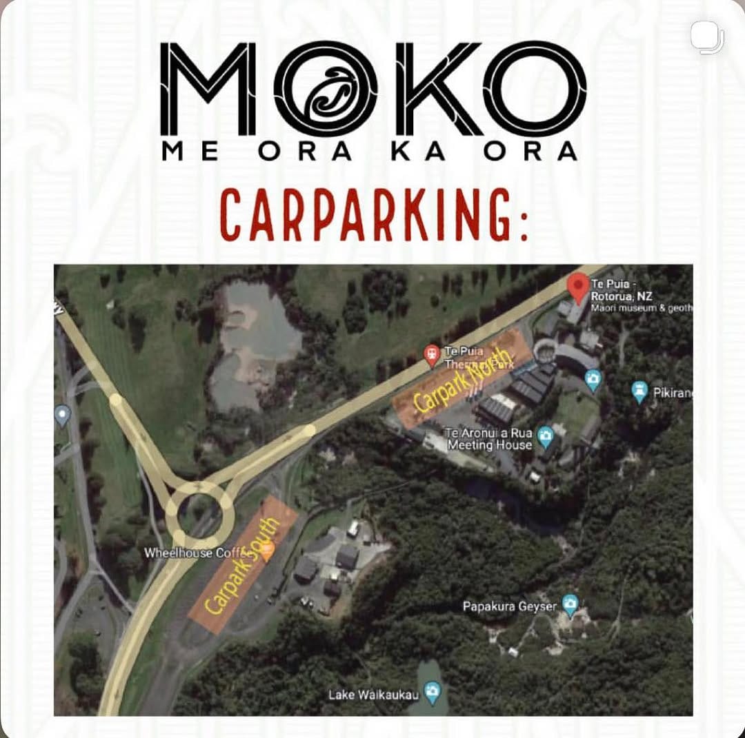 Post 7 by Dr Turumakina | Ta Moko Artist on Instagram (carousel)