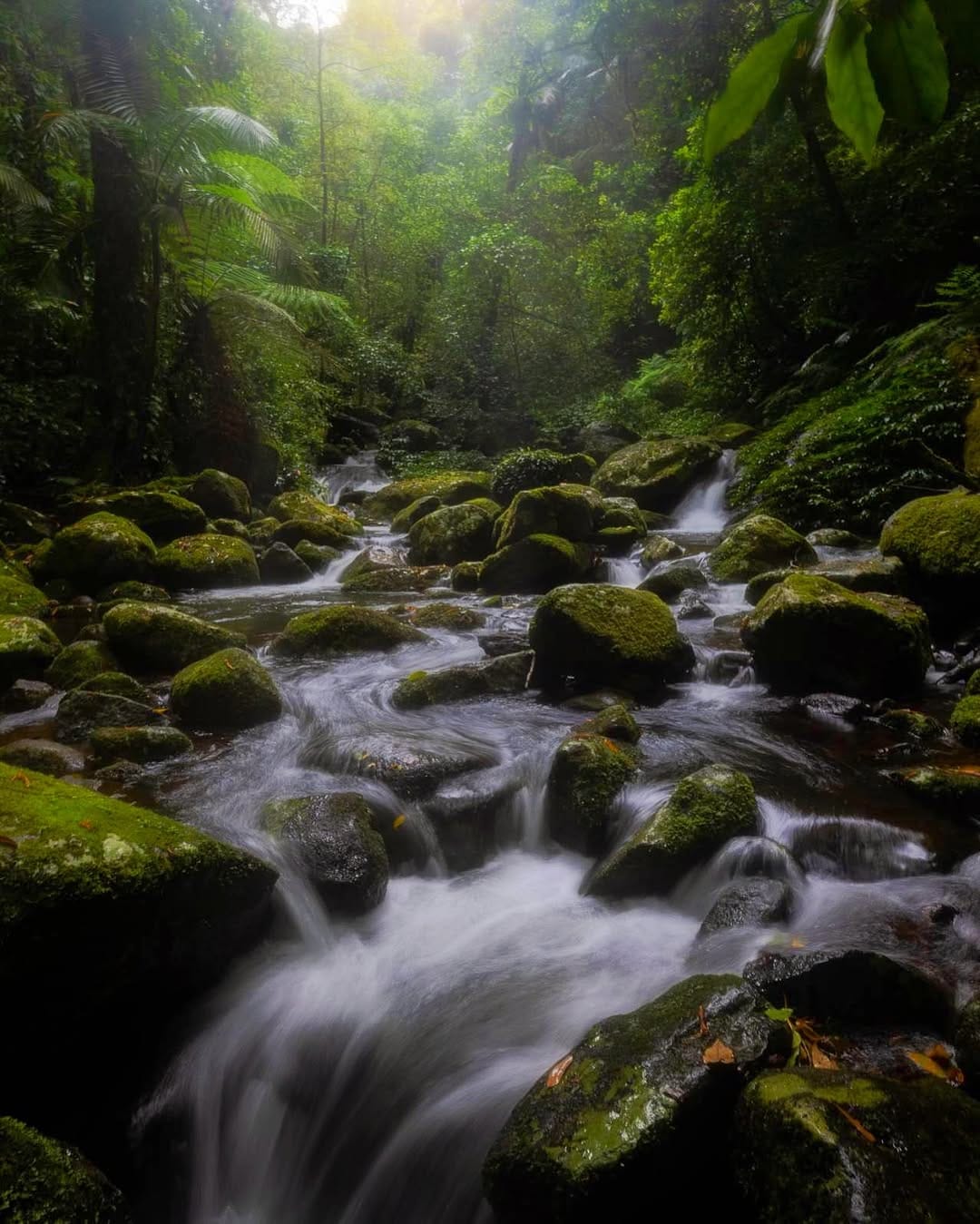 Post 4 by In Focus Studios | AUSTRALIA-Sports, Landscapes, Wildlife 🩵 on Instagram (carousel)