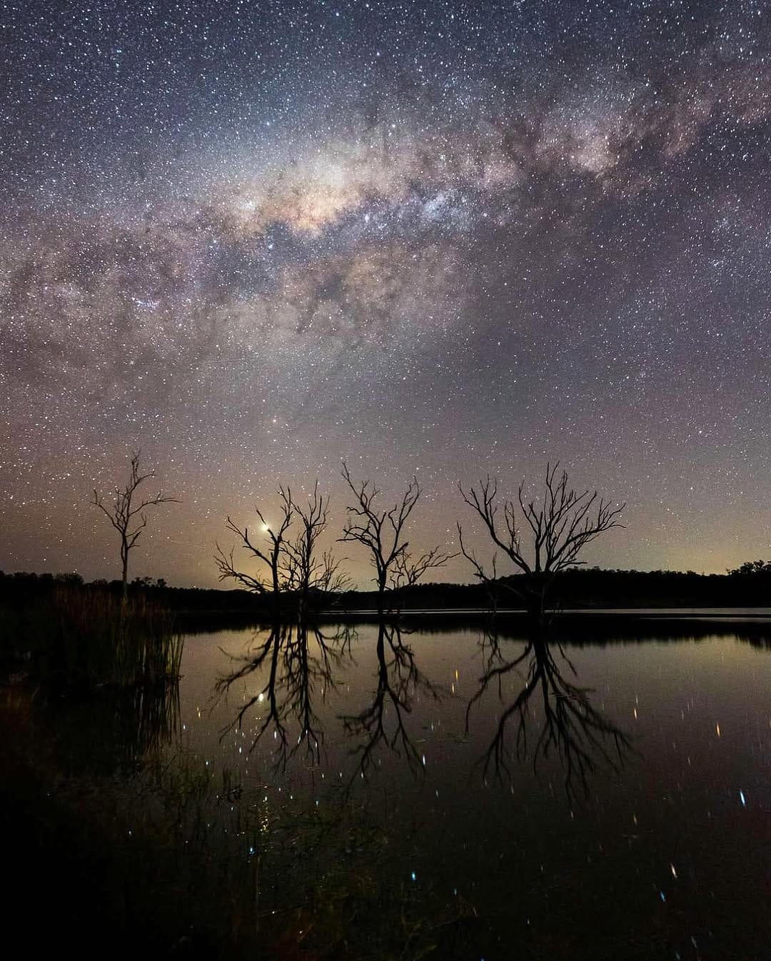 Post 9 by In Focus Studios | AUSTRALIA-Sports, Landscapes, Wildlife 🩵 on Instagram (carousel)