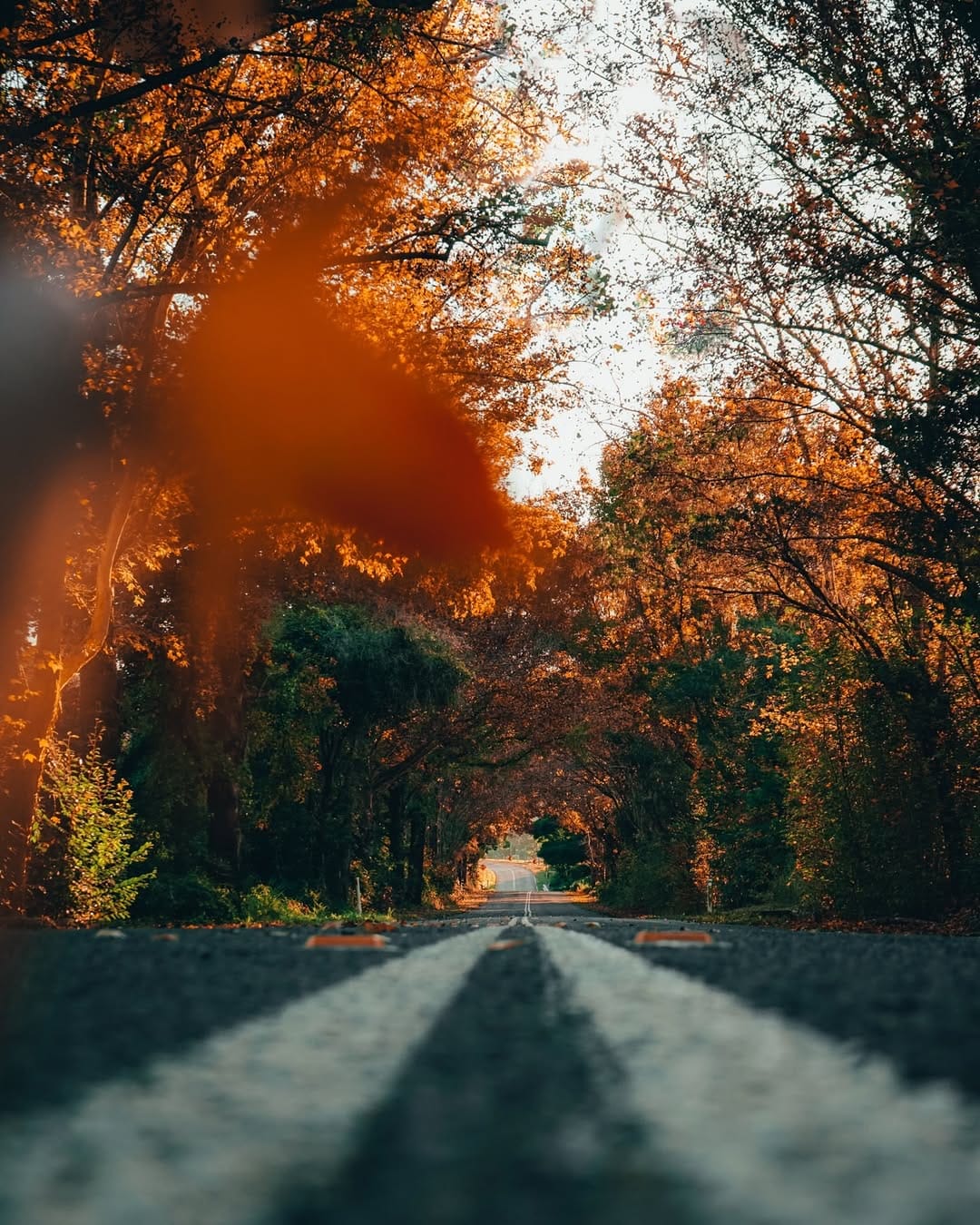 Post 7 by In Focus Studios | AUSTRALIA-Sports, Landscapes, Wildlife 🩵 on Instagram (carousel)