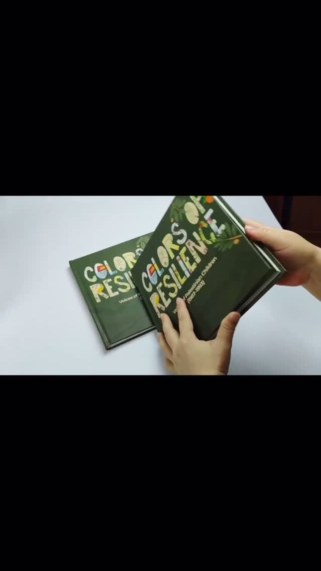 Post 2 by Ahmed ElKhalidi on Instagram (video)