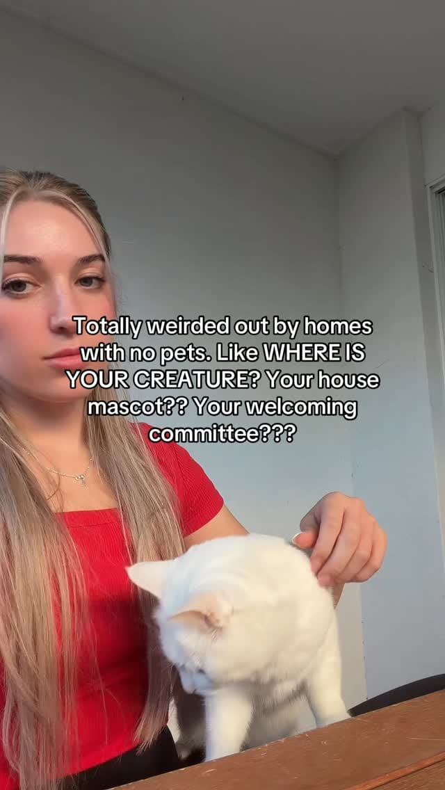 Post 7 by Anelda Phillips on Instagram (video)