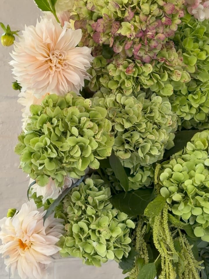 Post 10 by ASCHA JOLIE | Luxury Event Florals on Instagram (carousel)