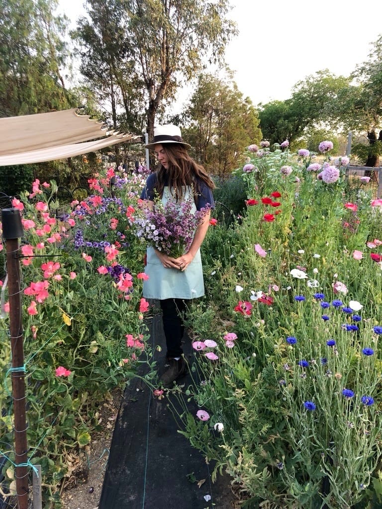 Post 2 by FLOWER FARM | FLORIST BOUTIQUE on Instagram (carousel)