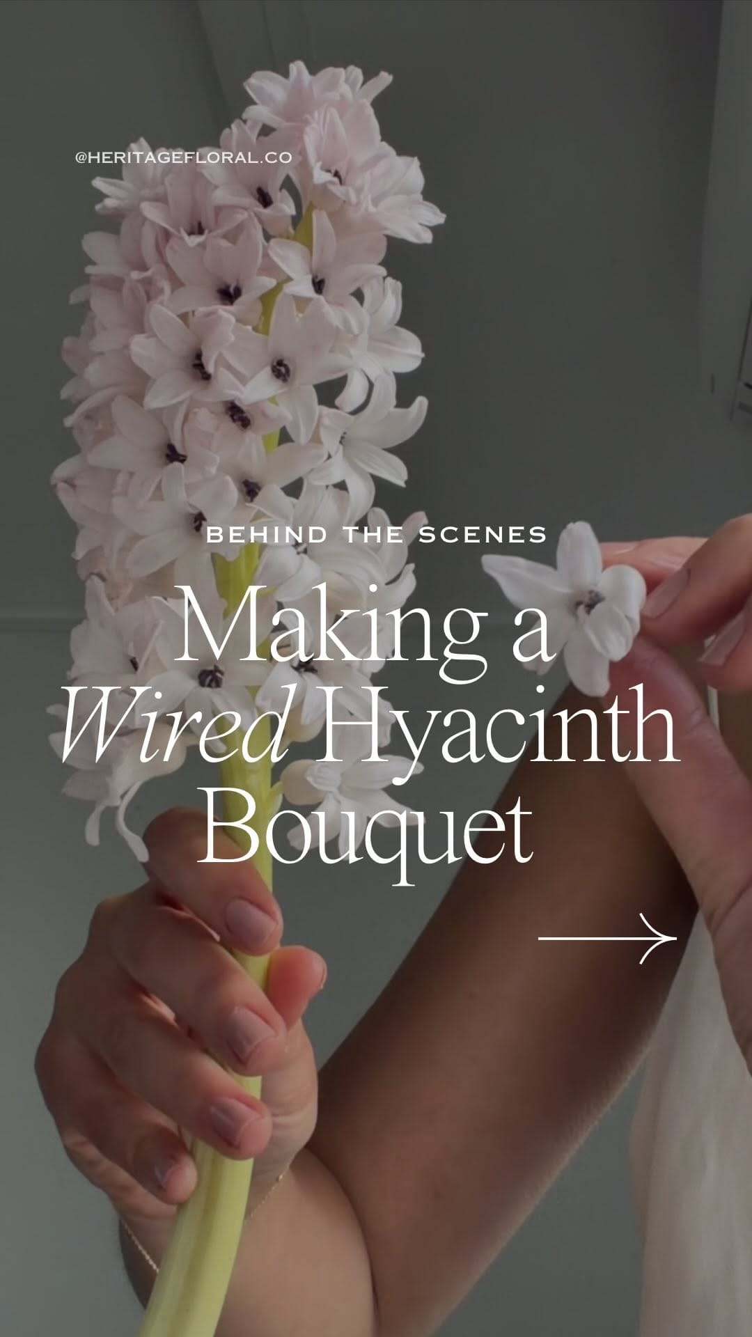 Post 4 by Sydney & Bowral wedding florist on Instagram (video)