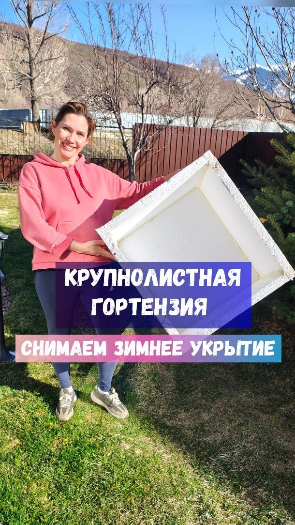 Post 3 by Евгения и Лучшие Фуксии on Instagram (video)