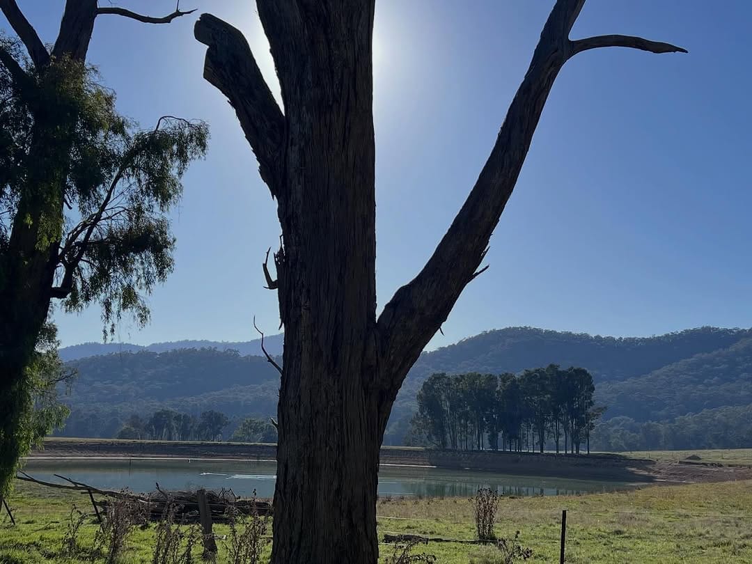 Post 3 by Fran O'Neill on Instagram (image)