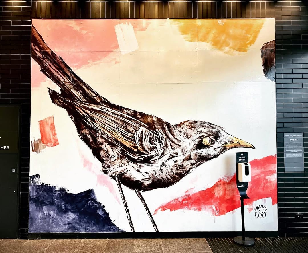 Post 10 by Streets of Perth on Instagram (image)