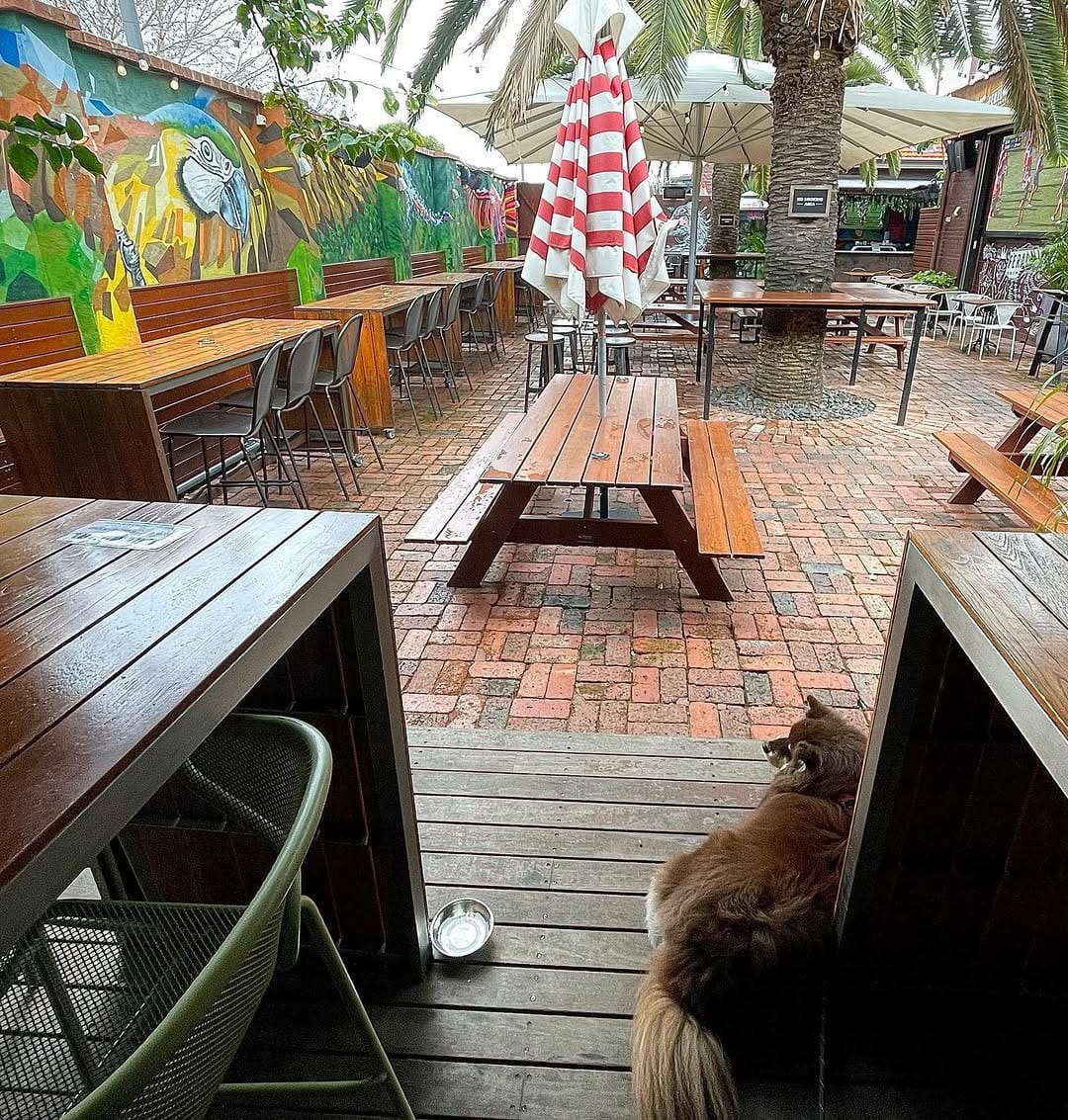 Post 5 by Streets of Perth on Instagram (carousel)
